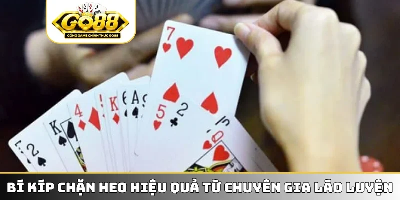 Bí kíp chặn heo hiệu quả từ chuyên gia lão luyện