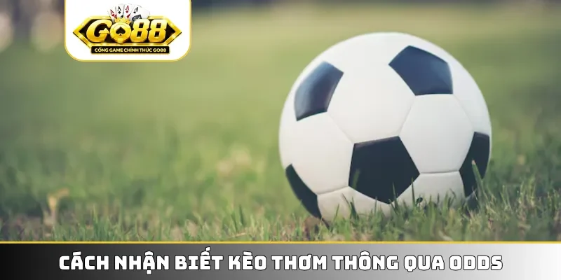 Cách nhận biết kèo thơm thông qua odds