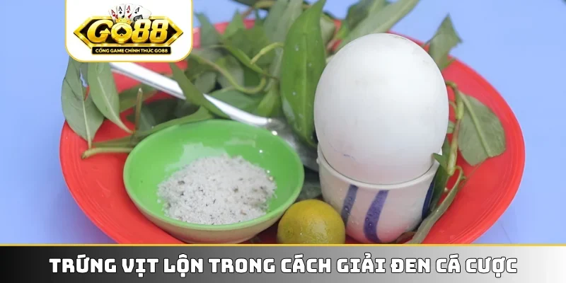 Trứng vịt lộn trong cách giải đen cá cược
